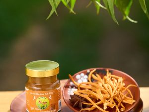 Tổ Yến Chưng Đông Trùng Hạ Thảo Sk Nest 32% Yến